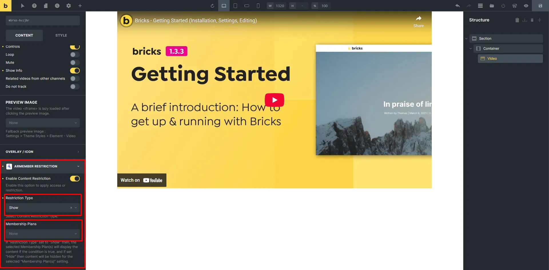 ARMember Bricks Builder Integration