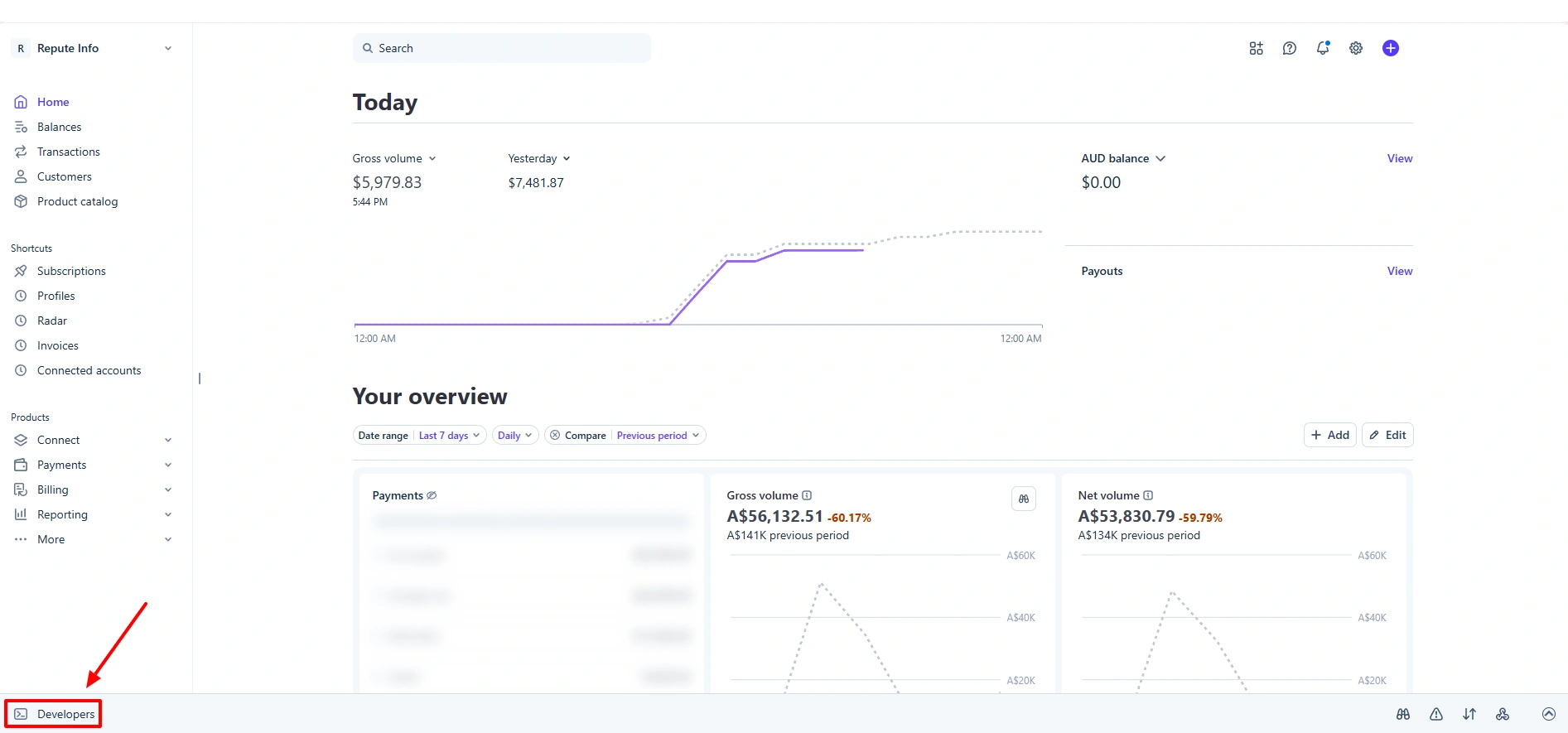 Stripe Developers Menu