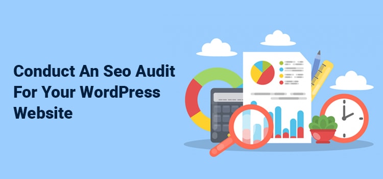 SEO Audit on Your WordPress Site