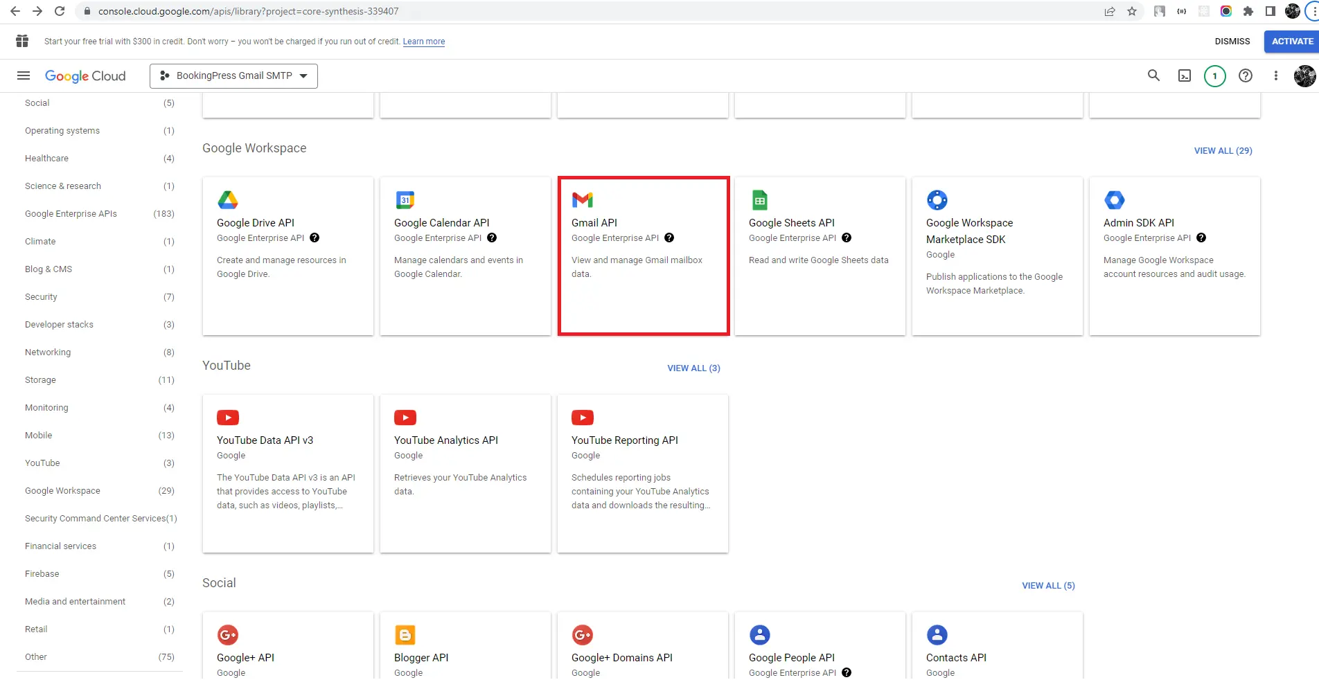 ARMember Gmail Add API to Project