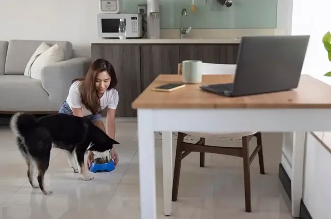 House-Pet-Baby-sitting-for-Extra-Income