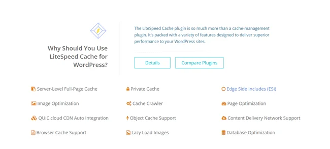 LiteSpeed Cache