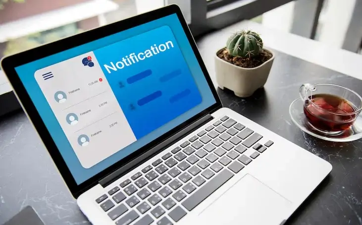 Timely Email - WhatsApp Updates to Keep them Hooked