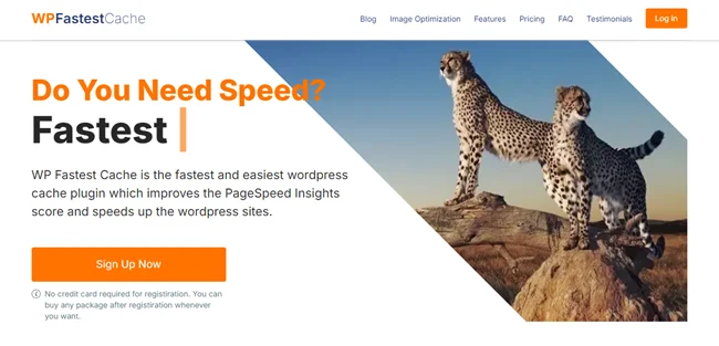 WP Fastest Cache
