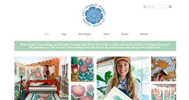 Visual Artists (Painters, Illustrators, Graphic Designers)