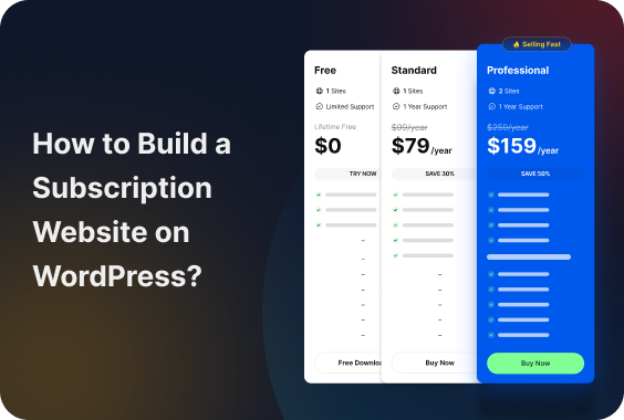 How to Build a Subscription Website on WordPress?