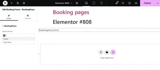 Integration-with-your-WordPress-design