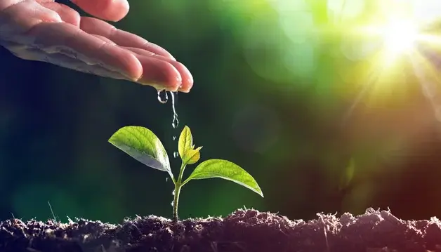 Nurture-Leads-with-Valuable-Content
