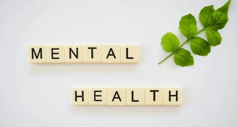 Popular-Online-Mental-Health-Business-Models-on-WordPress