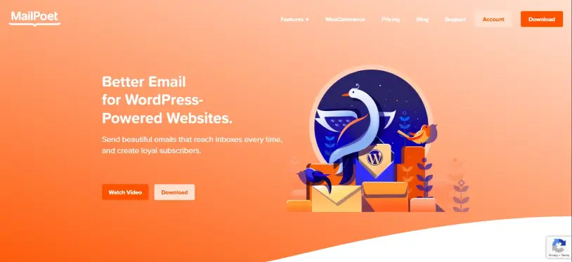 MailPoet