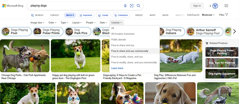 Bing image