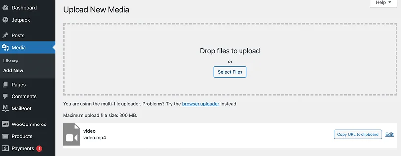 upload video in wordpress