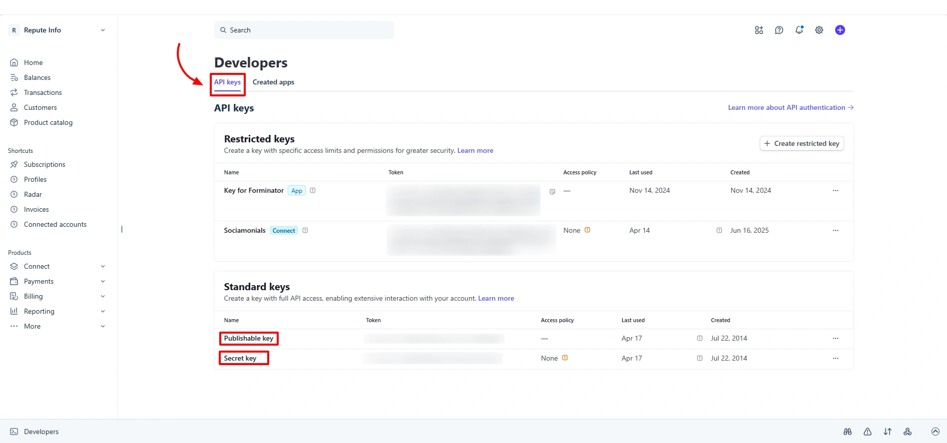 Stripe API Keys